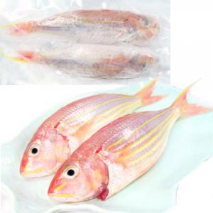 澎湖現撈金線鰱<2尾400g>(急凍真空) 澎湖現撈金線鰱<2尾400g>(急凍真空)