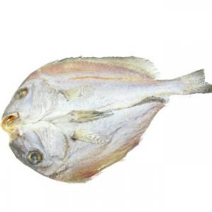 澎湖加志魚干<一尾300g> 澎湖加志魚干<一尾300g>