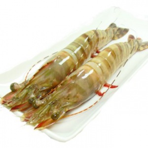 澎湖野生明蝦(海草蝦)<2尾300g>(潭邊) 澎湖野生明蝦(海草蝦)<2尾300g>(潭邊)
