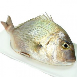澎湖迦納魚<1尾500g>(未去鱗、急凍) 澎湖迦納魚<1尾500g>(未去鱗、急凍)