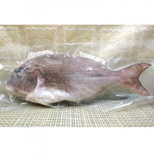 五德養殖澎湖迦納魚<1尾600g>(急凍真空) 五德養殖澎湖迦納魚<1尾600g>(急凍真空)