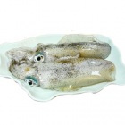 澎湖海釣魷魚(軟絲)<2尾500g>(菓葉盧A)