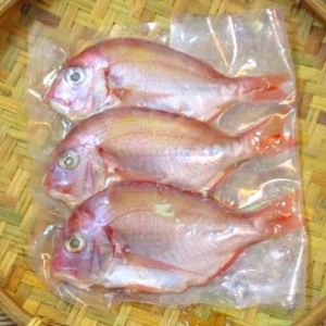 澎湖野生現撈盤仔魚<3尾250g>(潭邊) 澎湖野生現撈盤仔魚<3尾250g>(潭邊)
